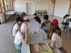 IMG_20230606_104835