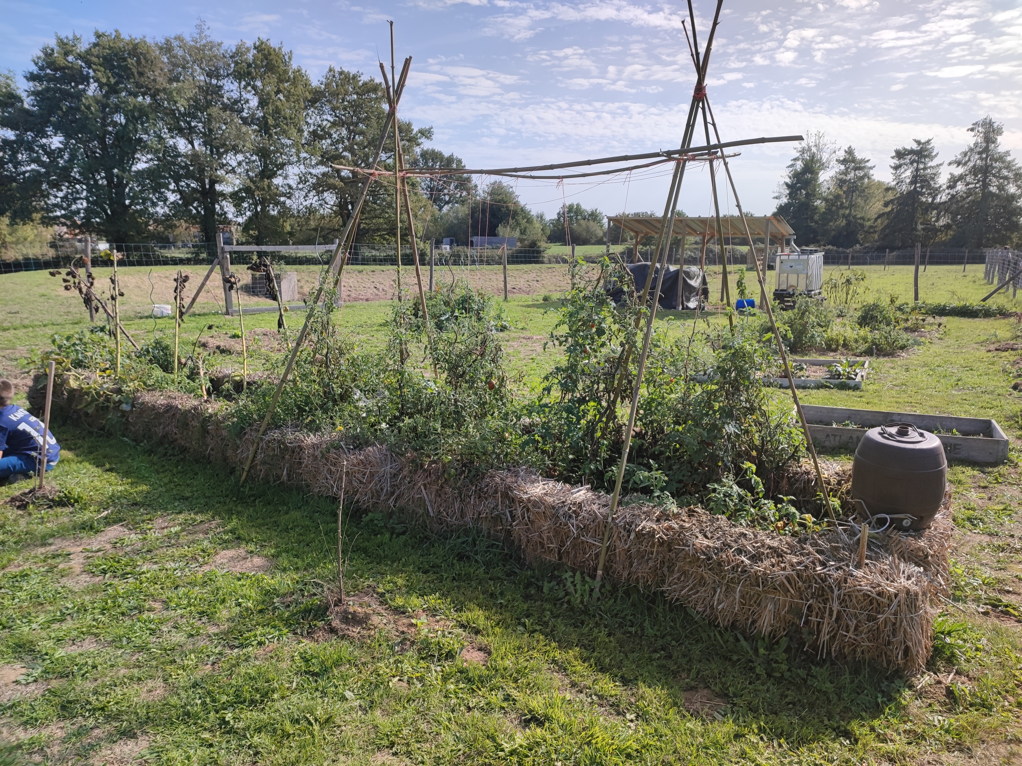 1_IMG_20221007_144949