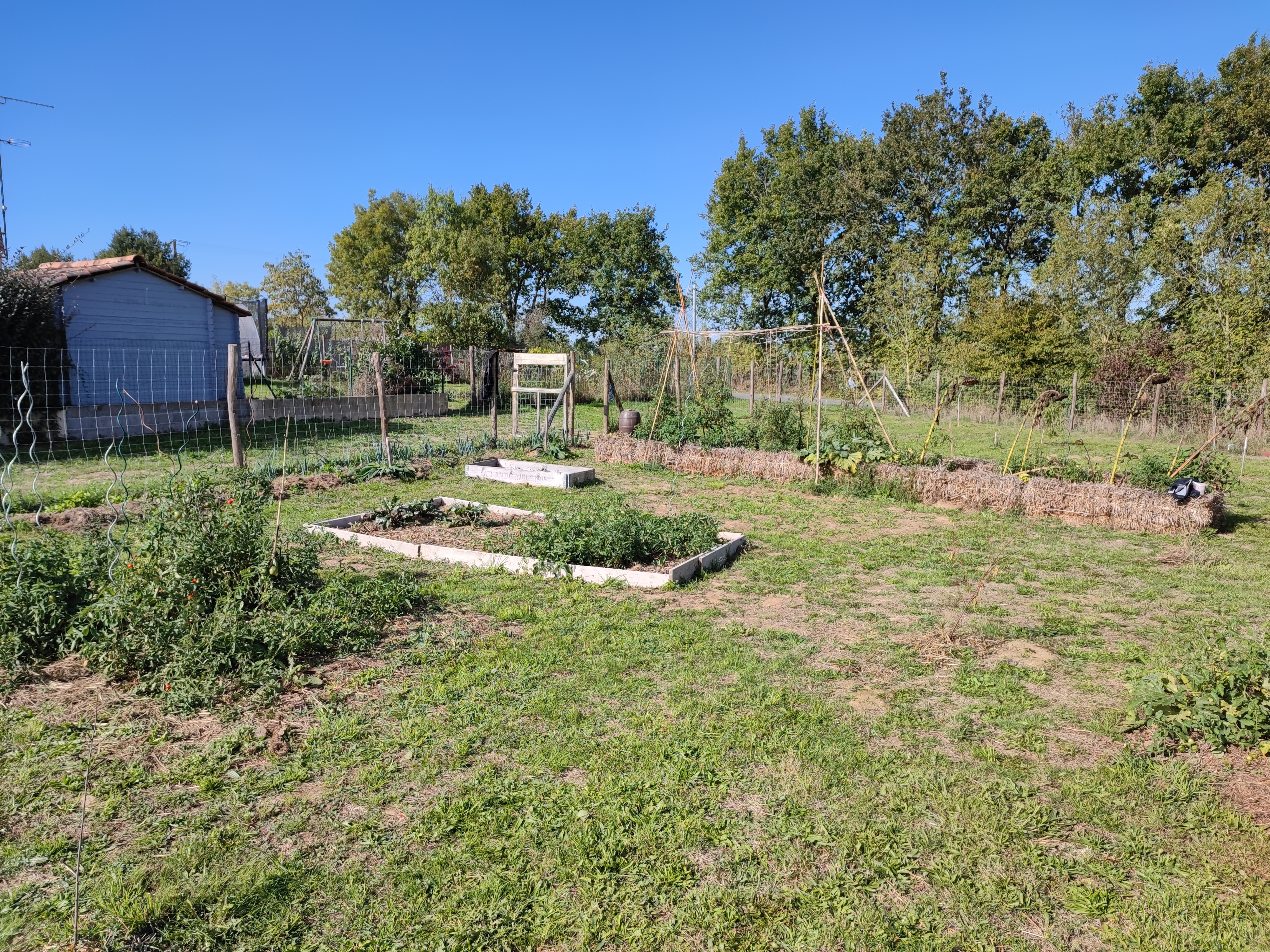 1_IMG_20221007_151035