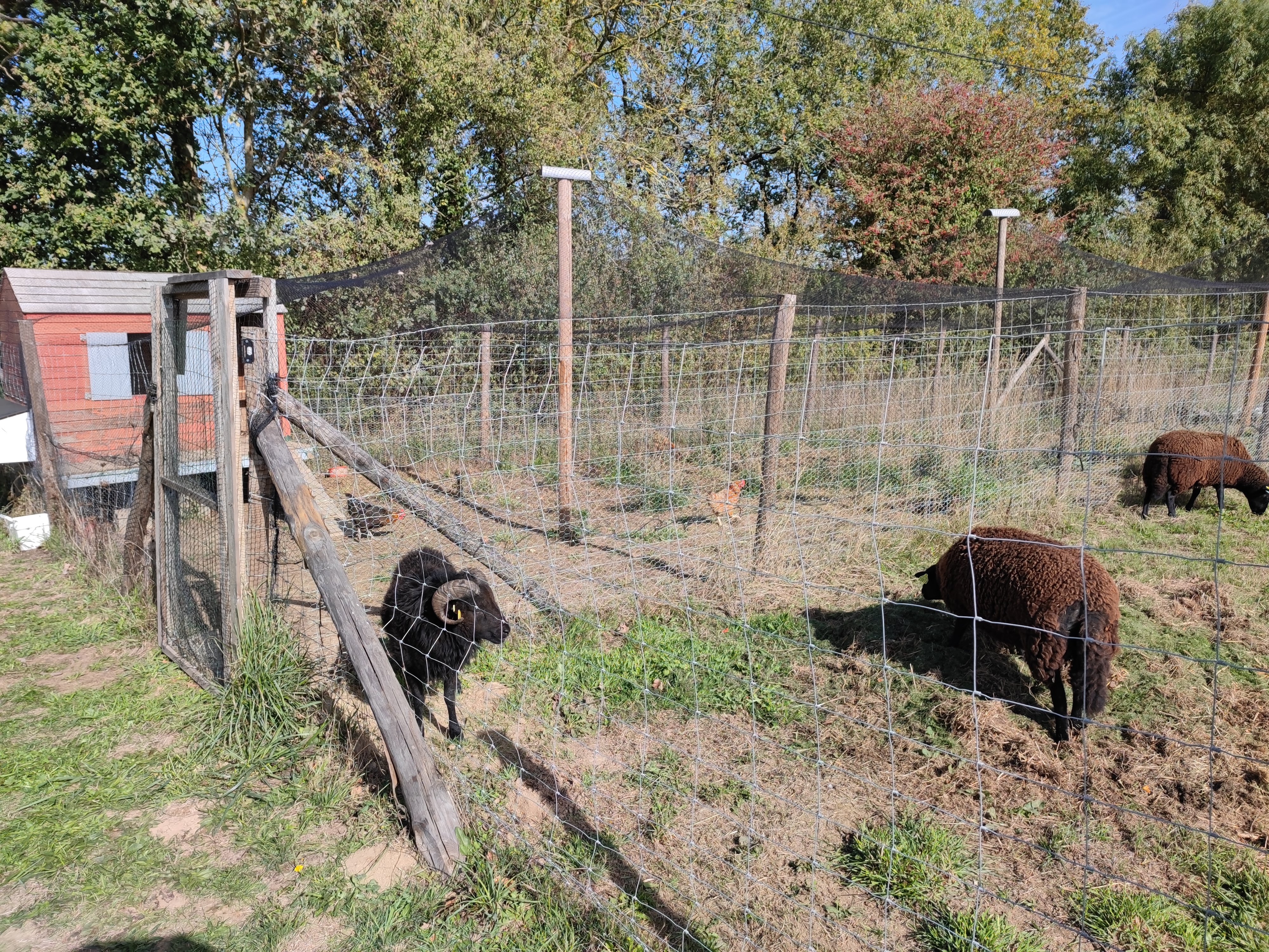 1_IMG_20221007_151542