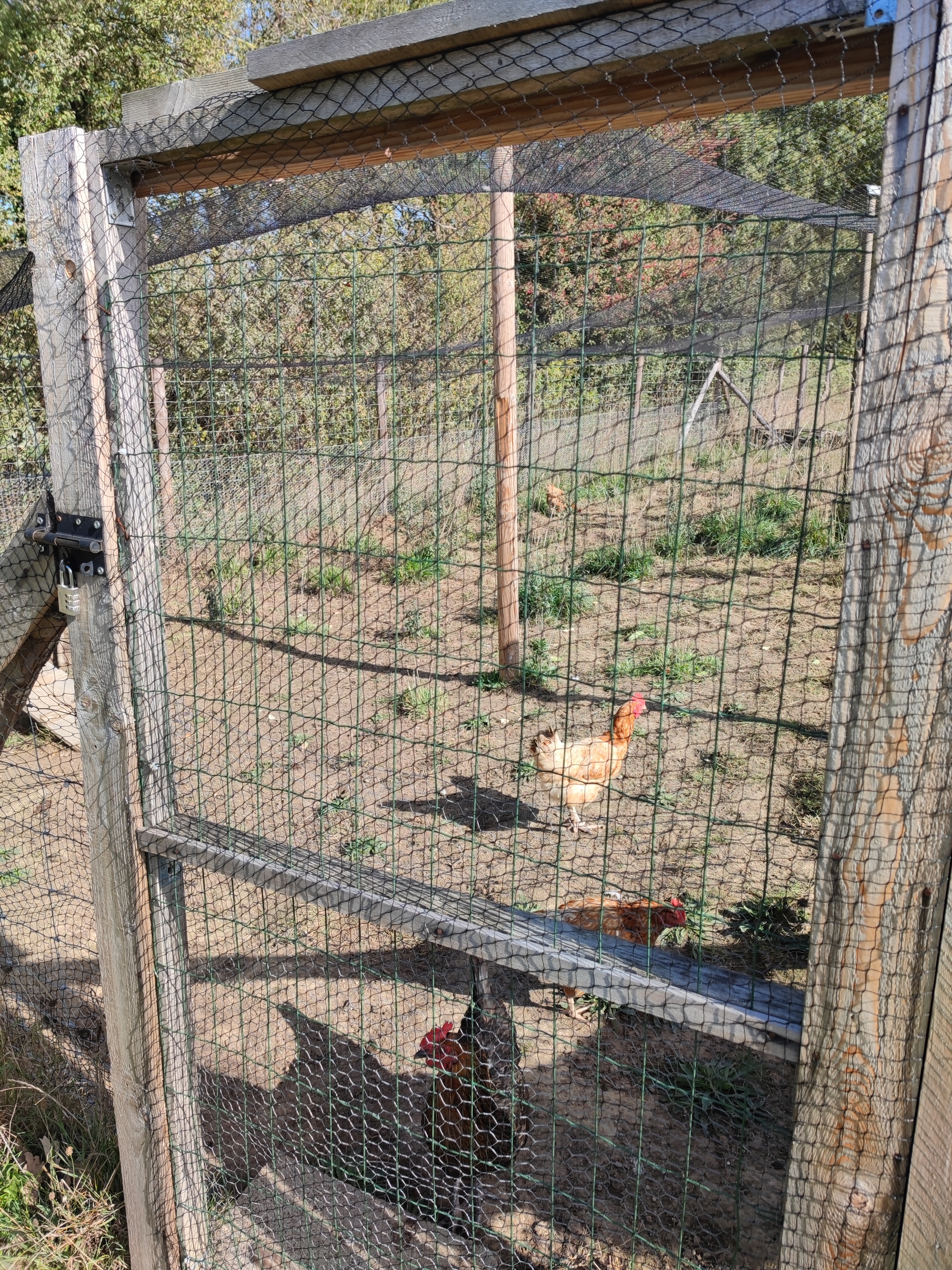 1_IMG_20221007_151603