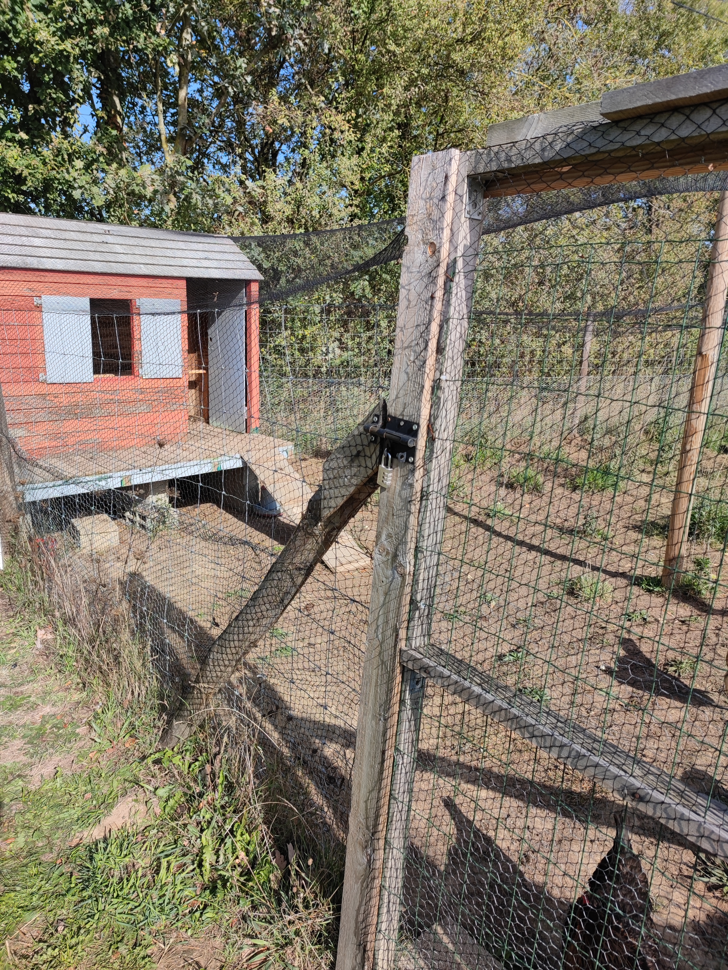 1_IMG_20221007_151606